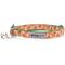 Show in main carousel: The Worthy Dog Peachy Keen Cat Collar, Peach, 9 to 11-in neck, 1/2-in wide slide 1 of 3