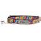 Show in main carousel: The Worthy Dog Kaleidoscope Cat Collar, Multicolored, 9 to 11-in neck, 1/2-in wide slide 1 of 3