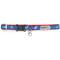 Show in main carousel: The Worthy Dog Chomp Cat Collar, Blue, 9 to 11-in neck, 1/2-in wide slide 3 of 3