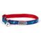 Show in main carousel: The Worthy Dog Chomp Cat Collar, Blue, 9 to 11-in neck, 1/2-in wide slide 1 of 3