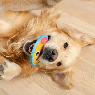 Show full view: Outward Hound Tough Skinz Durable Squeaky Dog Toy with Two Tough Layers, Donut, Multicolor, Small slide 6 of 9