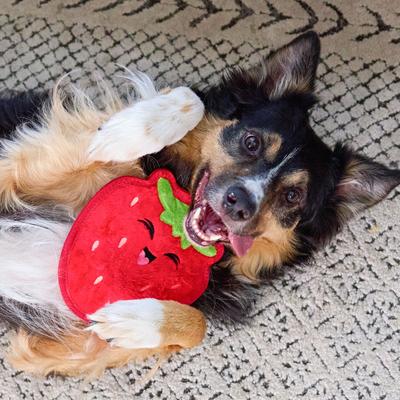 Show full view: Outward Hound Tough Skinz Durable Squeaky Strawberry Dog Toy, Red, Medium slide 6 of 9