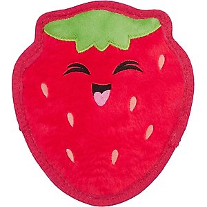Outward Hound Tough Skinz Durable Squeaky Strawberry Dog Toy, Red, Medium