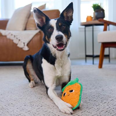 Show full view: Outward Hound Tough Skinz Durable Squeaky Carrot Dog Toy, Multicolor, Medium slide 6 of 9