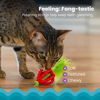 Show full view: Catstages Dental Strawberry Teether Cat Plush Toy with Catnip Oil, Pink slide 3 of 9