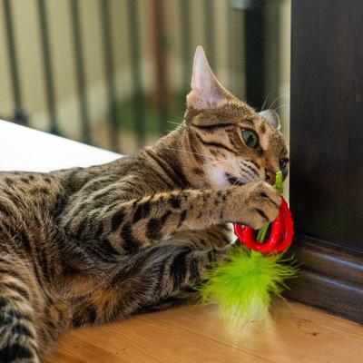 Show full view: Catstages Dental Strawberry Teether Cat Plush Toy with Catnip Oil, Pink slide 6 of 9