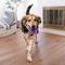 Show in main carousel: Outward Hound 2-in-1 Dental Wheel Dog Chew & Tug Toy, Purple slide 6 of 9