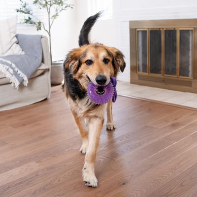 Show full view: Outward Hound 2-in-1 Dental Wheel Dog Chew & Tug Toy, Purple slide 6 of 9