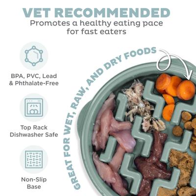 Show full view: Outward Hound Fun Feeder Slo Bowl Non-Skid Plastic Slow Feeder Dog Bowl, Sage, Small: 2-cup slide 4 of 9