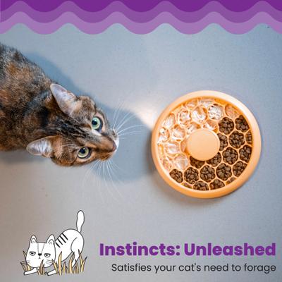 Show full view: Catstages Non-Skid Slow Feeder Cat Bowl, Orange, 0.5-cup slide 6 of 11