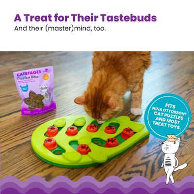 Show full view: Catstages by Nina Ottosson Purrfect Bitez Real Chicken Flavor Natural Crunchy Cat Treats, 4-oz bag slide 5 of 12