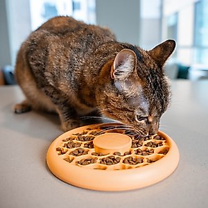 Catstages Non-Skid Slow Feeder Cat Bowl, Orange, 0.5-cup
