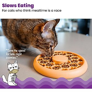 Catstages Non-Skid Slow Feeder Cat Bowl, Orange, 0.5-cup