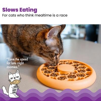Show full view: Catstages Non-Skid Slow Feeder Cat Bowl, Orange, 0.5-cup slide 3 of 11