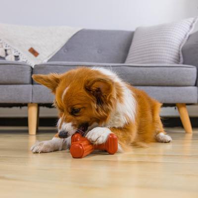 Show full view: Outward Hound Dogwood Hold & Chew Beef Scented Tough Dog Chew Toy, Large slide 6 of 9