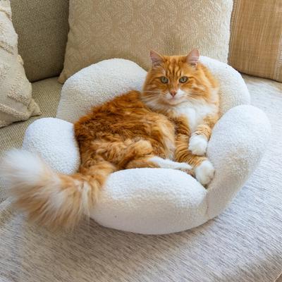 Show full view: Catstages Indoor Purrfect Petals Washable Flower Shaped Round Bolster Plush Cat Bed, White slide 7 of 11