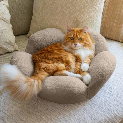 Show full view: Catstages Indoor Purrfect Petals Washable Flower Shaped Round Bolster Plush Cat Bed, Tan slide 8 of 12