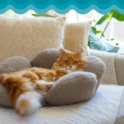 Show full view: Catstages Indoor Purrfect Petals Washable Flower Shaped Round Bolster Plush Cat Bed, Tan slide 7 of 12