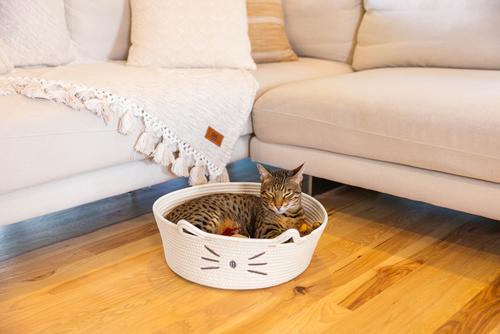 Show full view: Catstages Retreat 2-in-1 Bolster with Removable Cover, Cushion, Plush & Cotton Rope Cat Bed, White slide 9 of 11