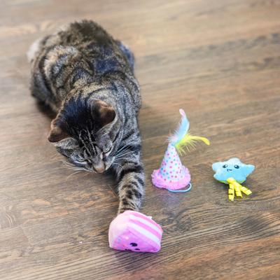 Show full view: Catstages Happy Purrthday Birthday Themed Blend Cat Plush Toy with Catnip, 3 count, Multicolor slide 7 of 10