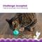 Show in main carousel: Catstages Ball Treat Stuffer Interactive Cat Treat Dispenser Toy, Green slide 3 of 11