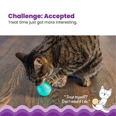 Show full view: Catstages Ball Treat Stuffer Interactive Cat Treat Dispenser Toy, Green slide 3 of 11