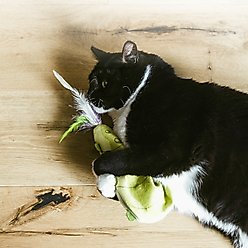 Catstages Wiggle Worm Electronic Flopping Cat Toy, Green slide 2 of 8