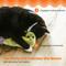 Show in main carousel: Catstages Wiggle Worm Electronic Flopping Cat Toy, Green slide 4 of 11