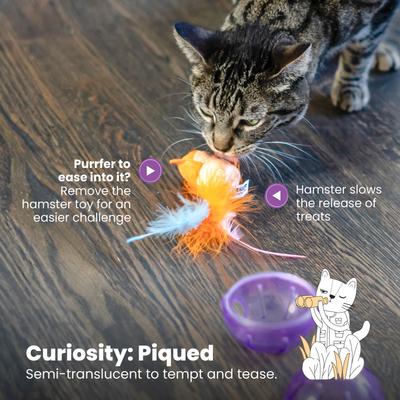 Show full view: Catstages Hamster Ball Treat Dispensing Cat Toy, Purple slide 6 of 9