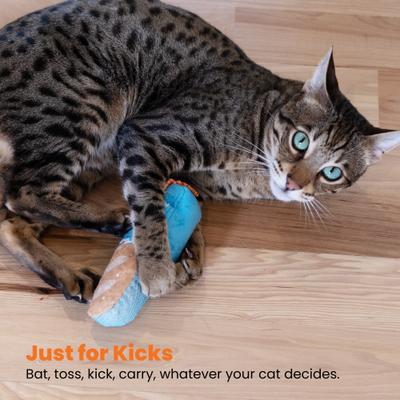 Show full view: Catstages Loaf Kicker Cat Dental Toy with Catnip, Blue slide 6 of 10