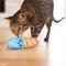 Show in main carousel: Catstages Loaf Kicker Cat Dental Toy with Catnip, Blue slide 7 of 10
