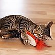 Show in main carousel: Catstages Hot Dog Themed Stuffed Kicker & Dental Cat Toy with Catnip, Brown slide 7 of 10