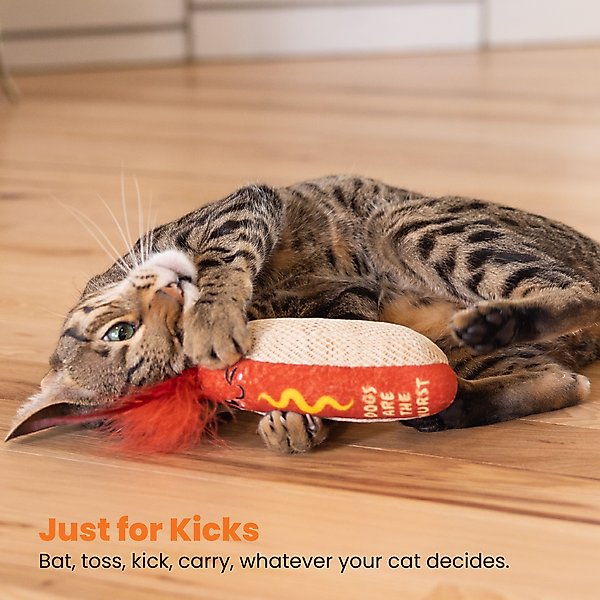 Show full view: Catstages Hot Dog Themed Stuffed Kicker & Dental Cat Toy with Catnip, Brown slide 6 of 10