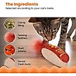Show in main carousel: Catstages Hot Dog Themed Stuffed Kicker & Dental Cat Toy with Catnip, Brown slide 4 of 10