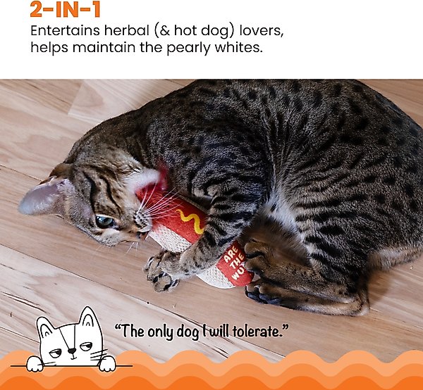 Show full view: Catstages Hot Dog Themed Stuffed Kicker & Dental Cat Toy with Catnip, Brown slide 2 of 10