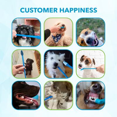 Show full view: Boshel Dog Toothbrush Pack, 2 count slide 9 of 10