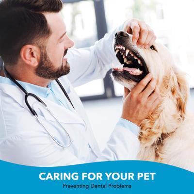 Show full view: Boshel Dog Toothbrush Pack, 2 count slide 8 of 10