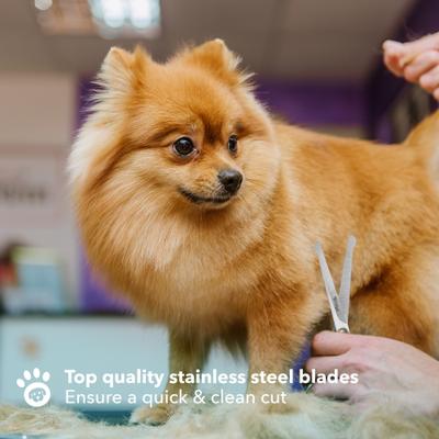 Show full view: Boshel Dog Grooming Scissors Set, 2 count slide 5 of 9