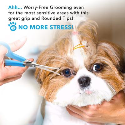 Show full view: Boshel Dog Grooming Scissors Set, 2 count slide 4 of 9