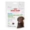 Show in main carousel: Royal Canin Immunity & Digestive Soft Chew Puppy Supplement, 60 count slide 1 of 12