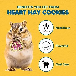 SunGrow Heart Shaped Timothy Hay Small Pet Enrichment Chew Treats, 12 count slide 2 of 7