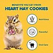 Show in main carousel: SunGrow Heart Shaped Timothy Hay Small Pet Enrichment Chew Treats, 12 count slide 3 of 8