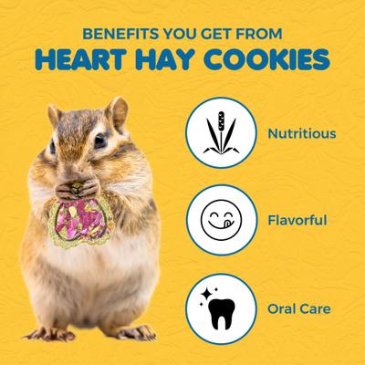 Show full view: SunGrow Heart Shaped Timothy Hay Small Pet Enrichment Chew Treats, 12 count slide 3 of 8
