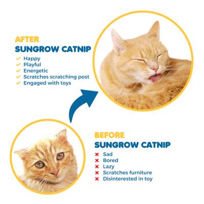 Show full view: SunGrow Catnip Treats for Cat Enrichment & Refillable Plush Kitty Toys, 1.5-oz bag slide 6 of 7