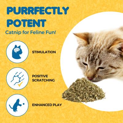 Show full view: SunGrow Catnip Treats for Cat Enrichment & Refillable Plush Kitty Toys, 1.5-oz bag slide 3 of 7