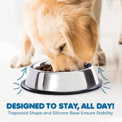 Show full view: SunGrow No Spill Stainless Steel Large Dog Water & Food Bowl with Non-Slip Rubber Base, 64-oz slide 5 of 9