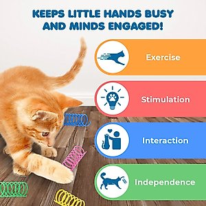 SunGrow Colorful Interactive Indoor Cat Spiral Spring Chasing Toy for Boredom, Exercise & Entertainment, 12 count