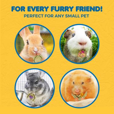 Show full view: SunGrow Heart Shaped Timothy Hay Small Pet Enrichment Chew Treats, 12 count slide 5 of 8