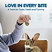 Show in main carousel: SunGrow Heart Shaped Timothy Hay Small Pet Enrichment Chew Treats, 12 count slide 4 of 8