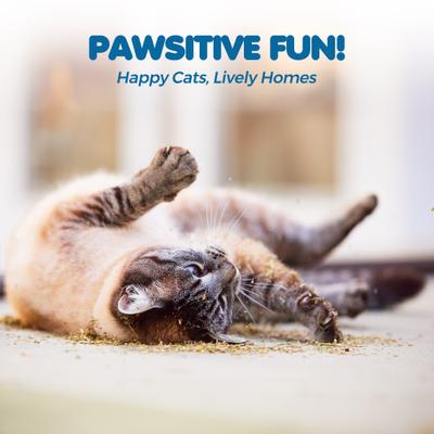 Show full view: SunGrow Catnip Treats for Cat Enrichment & Refillable Plush Kitty Toys, 1.5-oz bag slide 4 of 7